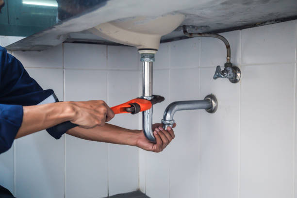 Best Plumbing Services Near Me  in Third Lake, IL