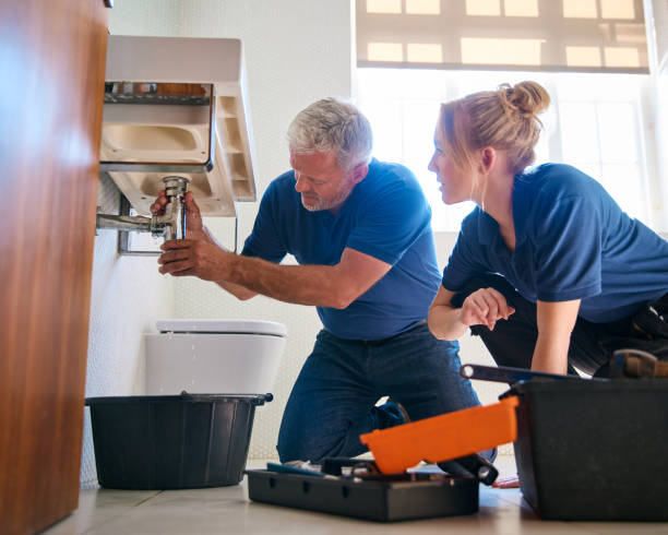 Best Residential Plumbing Services  in Third Lake, IL