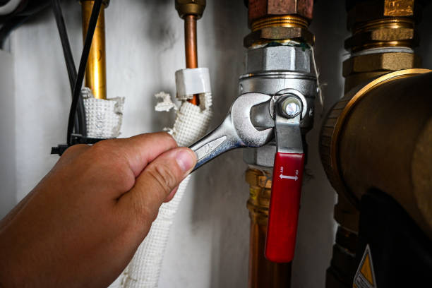 Best Hot Water Heater Installation  in Third Lake, IL